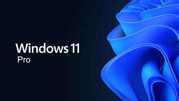 Windows 11 Pro